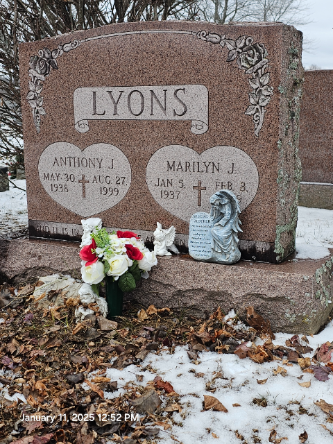 Flower delivery for Marilyn J Lyons