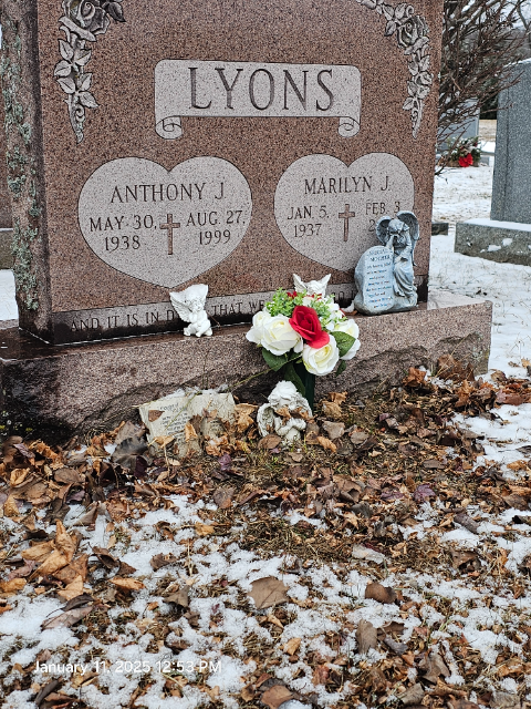 Flower delivery for Marilyn J Lyons