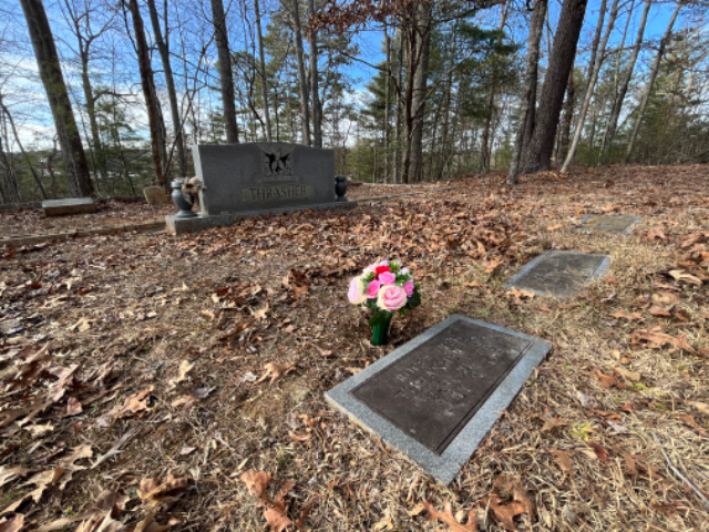 Flower delivery for Roger Lynn Lynn Thrasher
