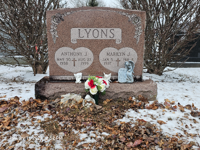 Flower delivery for Marilyn J Lyons