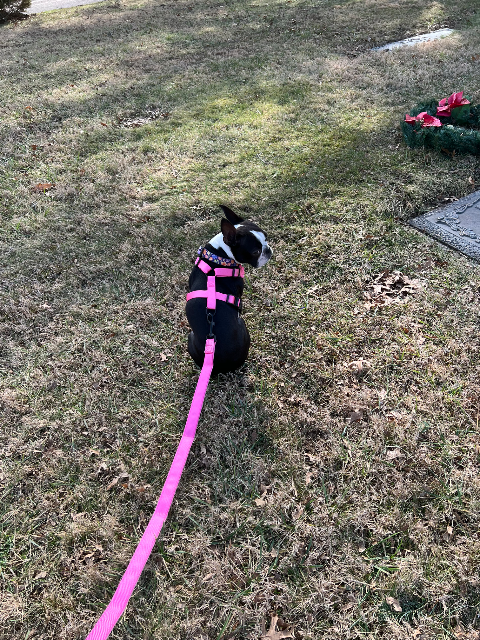 Flower delivery for Doris Marilyn Nicholas