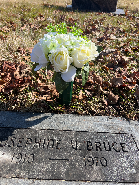 Flower delivery for Josephine Vigna Bruce