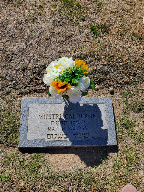 Flower delivery for Mustri Calderon