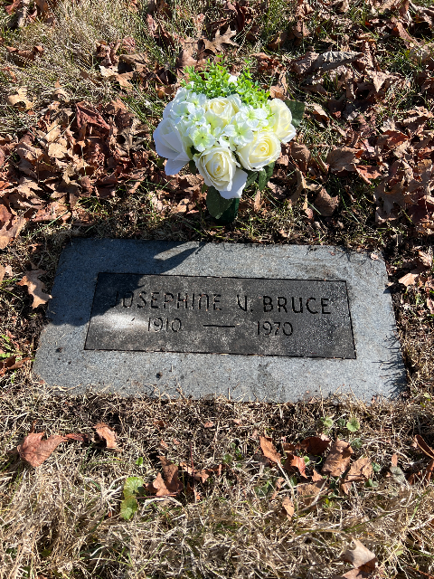 Flower delivery for Josephine Vigna Bruce