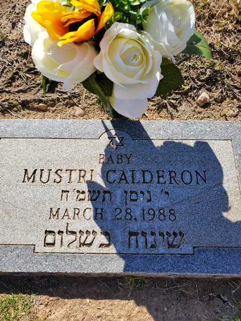 Flower delivery for Mustri Calderon