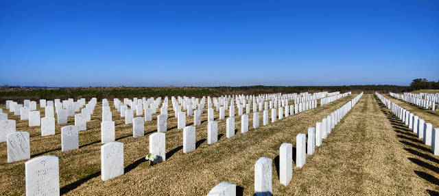 Flower delivery for James T Hanley