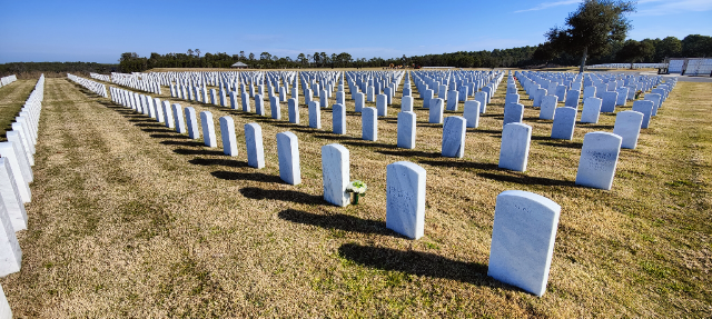 Flower delivery for James T Hanley