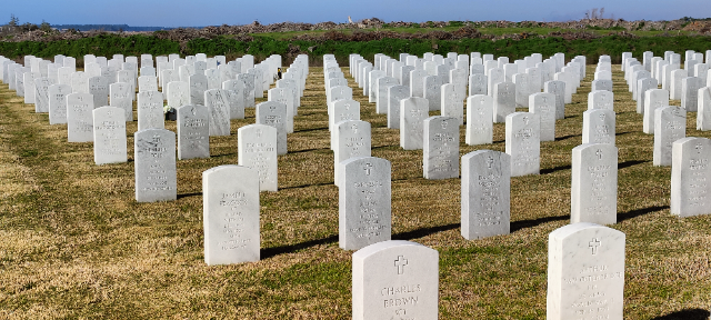 Flower delivery for James T Hanley