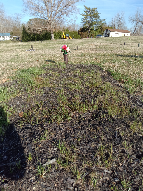 Flower delivery for Kathy Joy Wilson