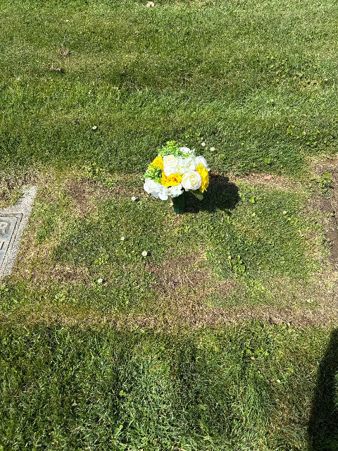 Flower delivery for Thomas Brown