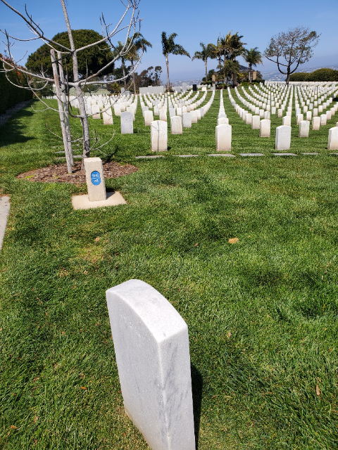 Flower delivery for Mourad Ragimov