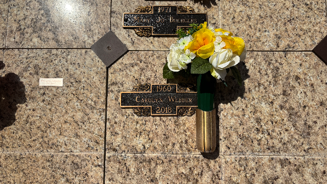 Flower delivery for Carolyn Webber