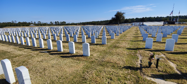 Flower delivery for James T Hanley