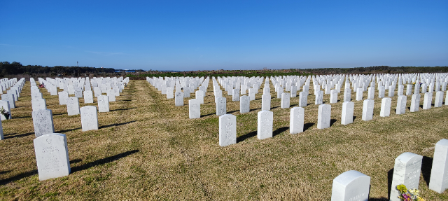 Flower delivery for James T Hanley