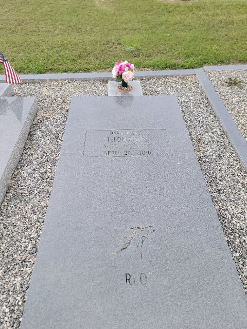 Flower delivery for Darlene Thompson