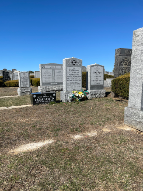 Flower delivery for Shulamith Firestone