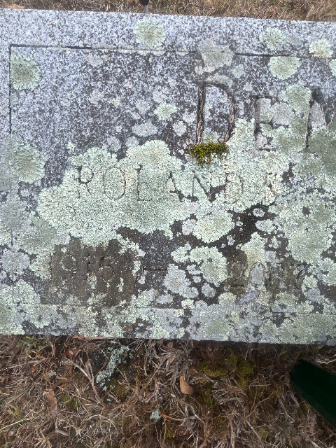 Flower delivery for Roland Sutphin DeMott