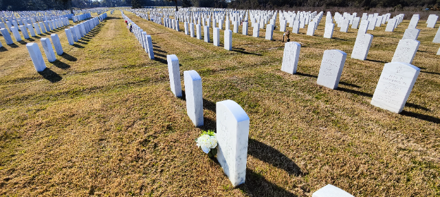 Flower delivery for James T Hanley