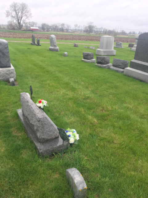 Flower delivery for Creighton Hale Workman