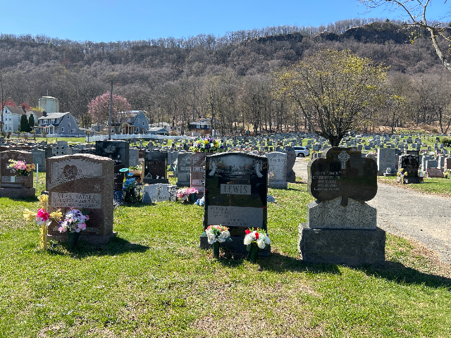 Flower delivery for Kenneth Lewis