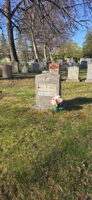 Flower delivery for Patricia Shields Sullo