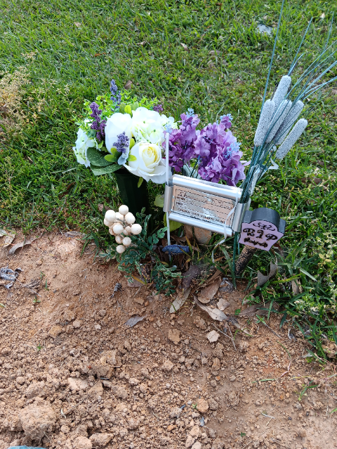 Flower delivery for Sharonda Shante Davis-Thomas