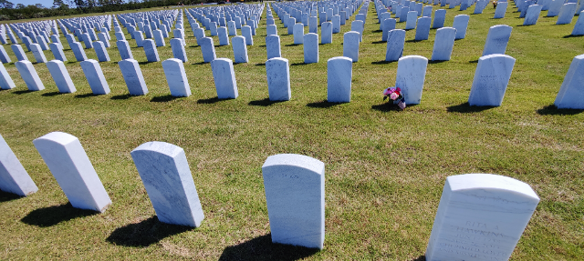 Flower delivery for James T Hanley