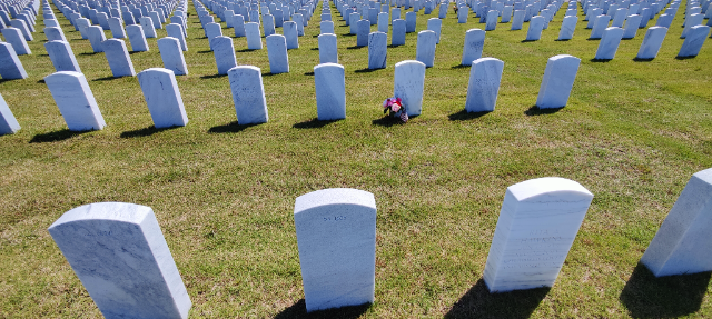 Flower delivery for James T Hanley