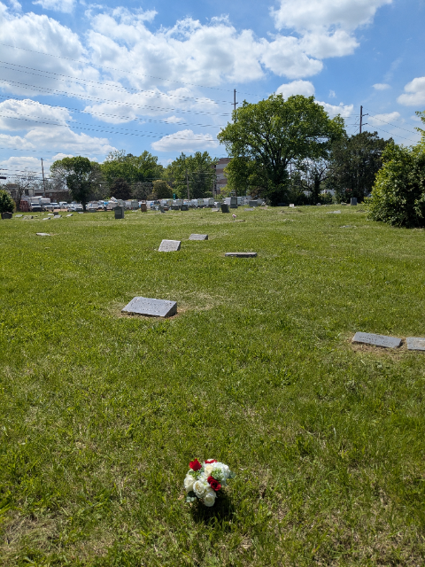Flower delivery for Henrietta Piggs