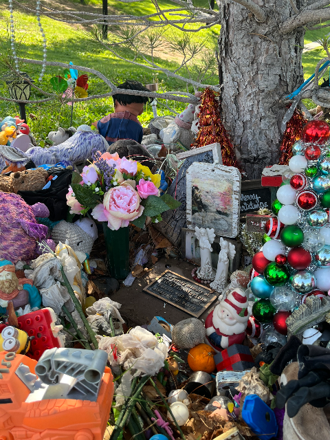 Flower delivery for Victoria Ann Martens