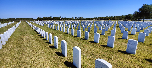 Flower delivery for James T Hanley