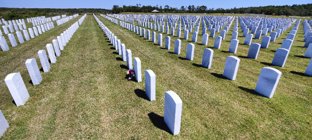 Flower delivery for James T Hanley