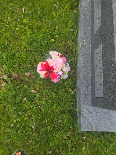 Flower delivery for Lottie Laura West