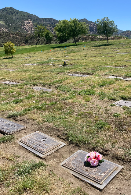 Flower delivery for Leila Jane Bohrman