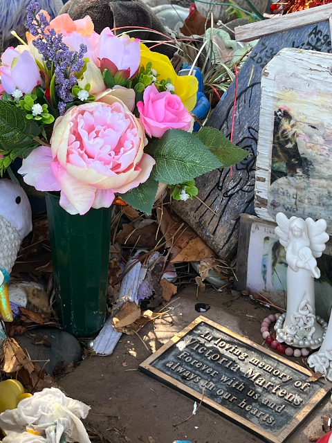 Flower delivery for Victoria Ann Martens