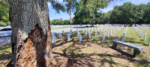 Flower delivery for John Joseph Vela