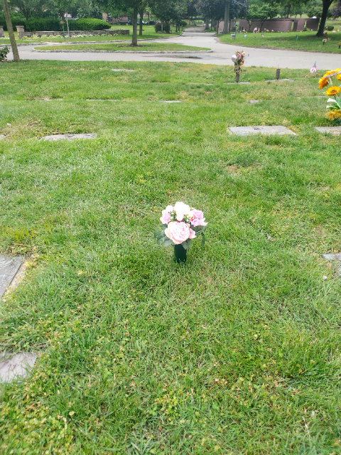 Flower delivery for Barbara Oliver