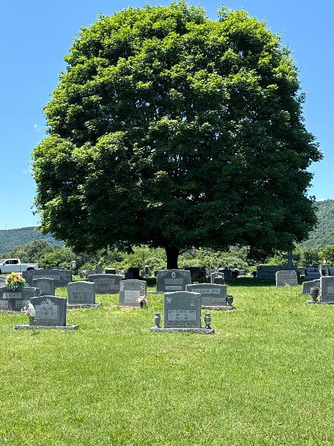 Flower delivery for Ruby Lee Green