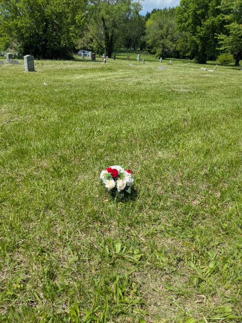 Flower delivery for Henrietta Piggs