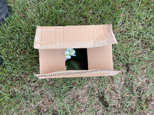 Flower delivery for Edward J. Kuyweski