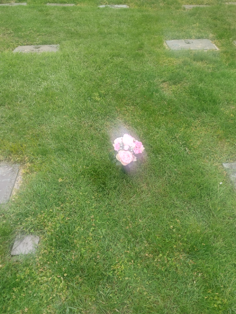 Flower delivery for Barbara Oliver