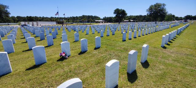 Flower delivery for James T Hanley