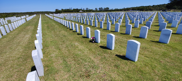 Flower delivery for James T Hanley