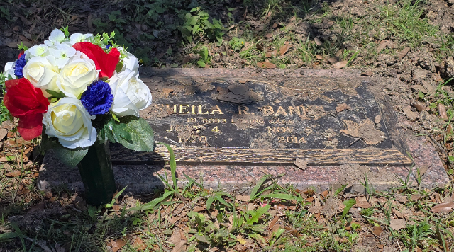 Flower delivery for Sheila R. Banks