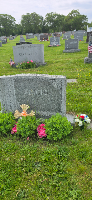 Flower delivery for Ralph John Riccio
