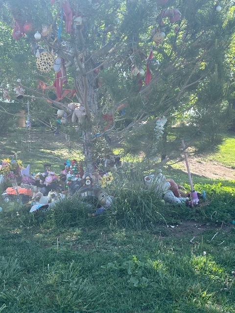 Flower delivery for Victoria Ann Martens