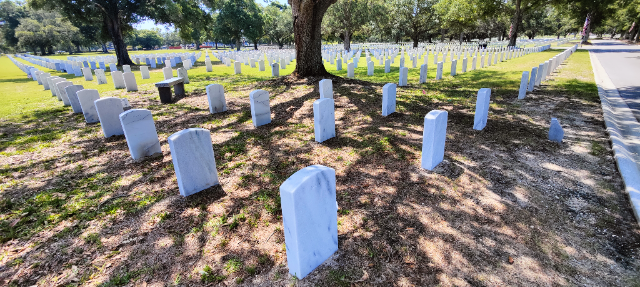 Flower delivery for John Joseph Vela