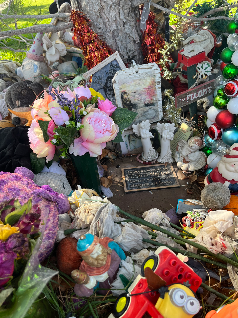 Flower delivery for Victoria Ann Martens