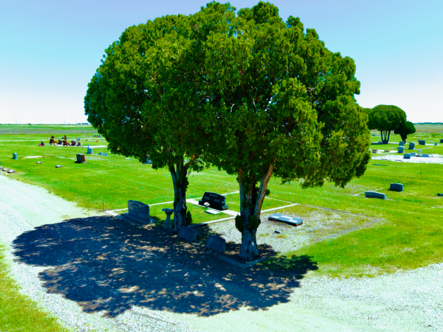 Flower delivery for Wanda Lou Johnson