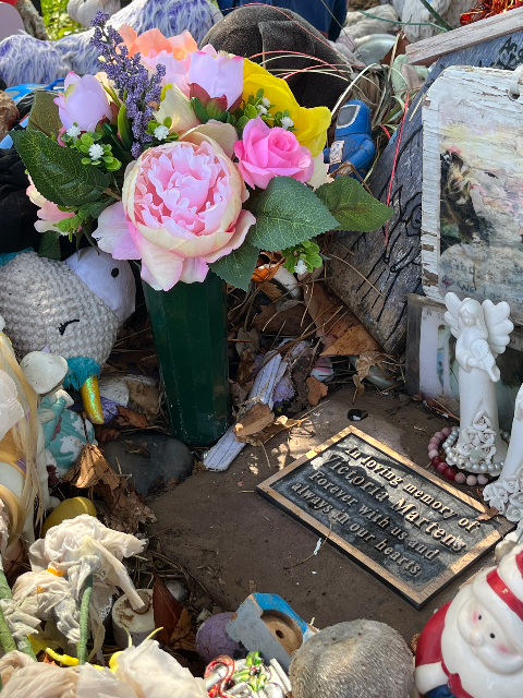 Flower delivery for Victoria Ann Martens